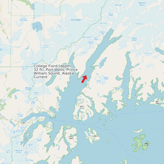 College Fiord (depth 32 ft), Port Wells, Prince William Sound, Alaska Current map