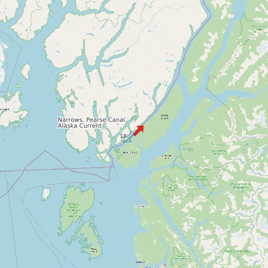 Narrows, Pearse Canal, Alaska Current map