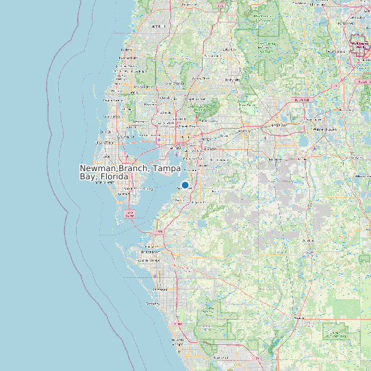 Newman Branch, Tampa Bay, Florida map