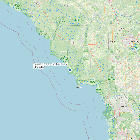Map of Suwannee, Salt Creek, Florida Tide Prediction Station