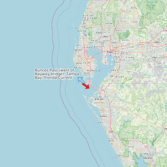 Bunces Pass (west of Bayway bridge), Tampa Bay, Florida Current map